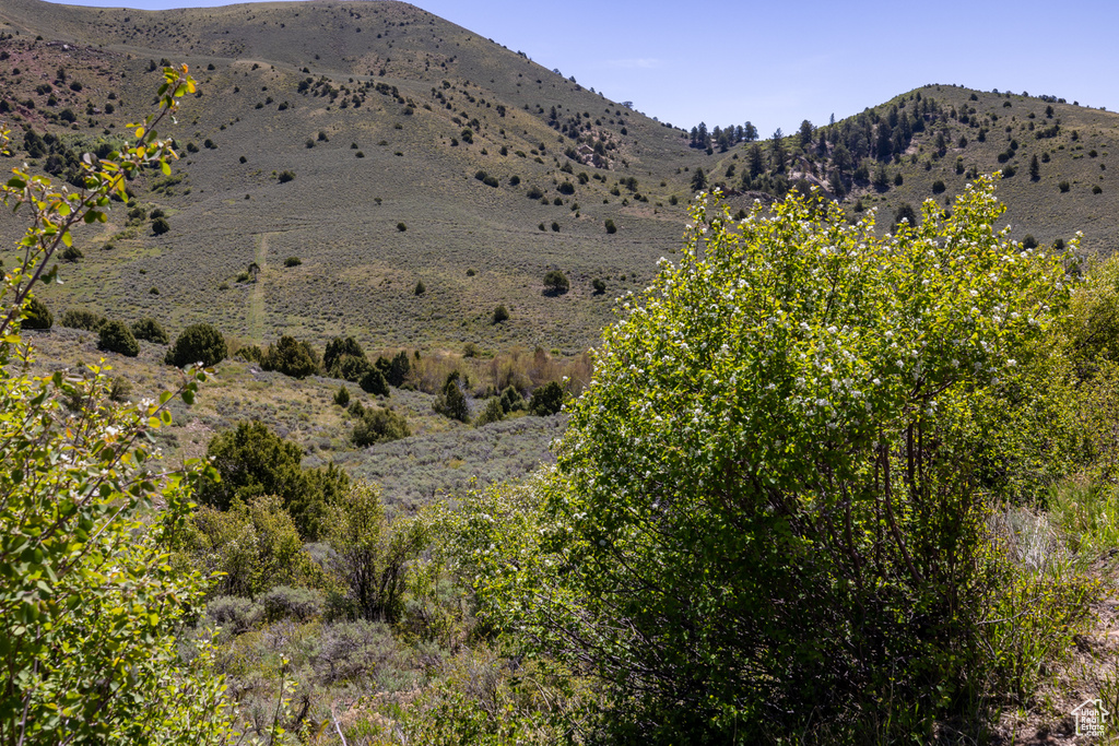 View of mountain backdrop