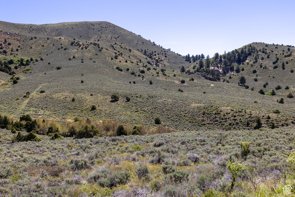 Mountain view