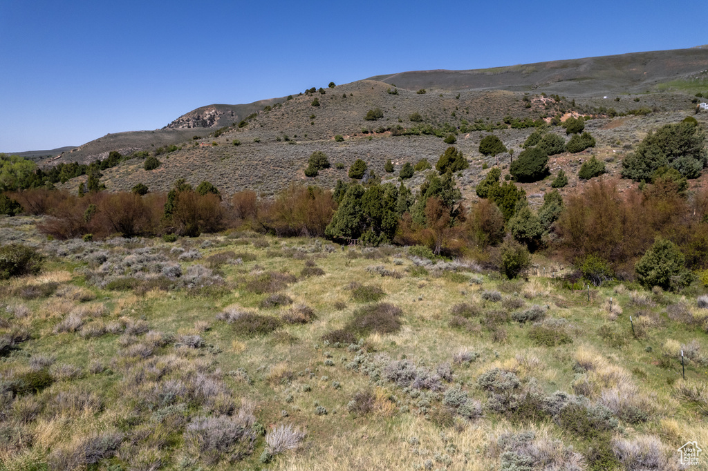 Mountain view