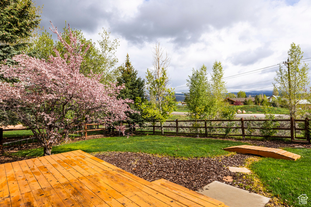View of wooden deck