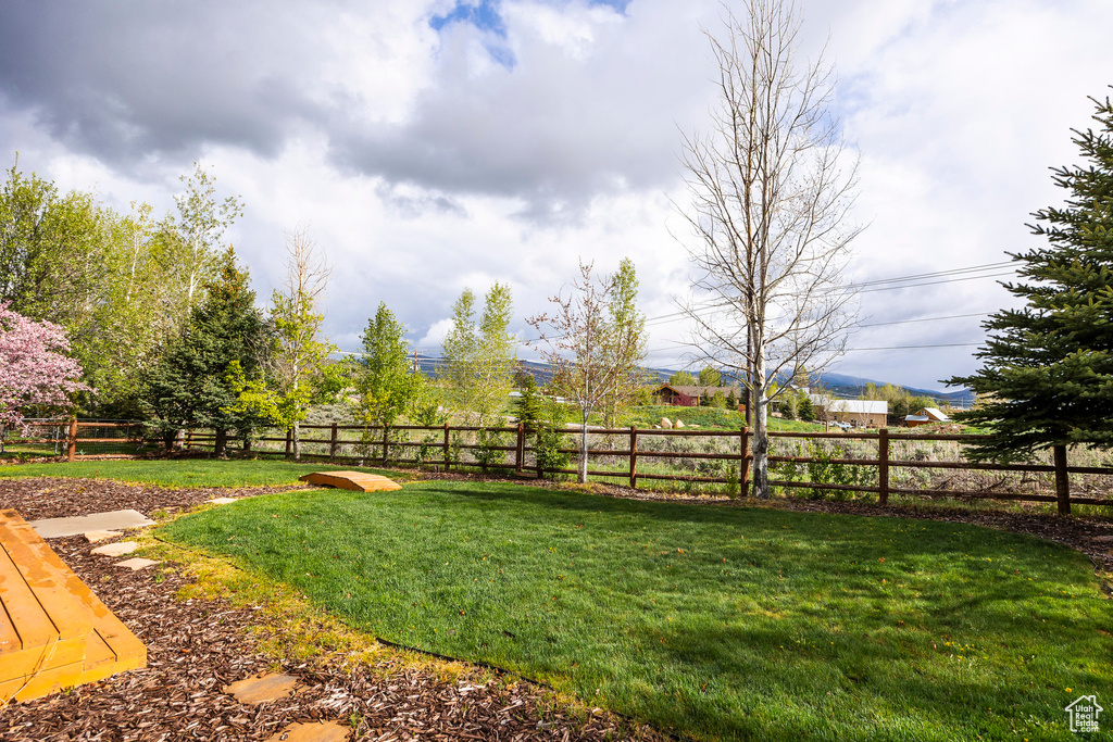 View of yard