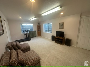 Living area with carpet, baseboards, and recessed lighting