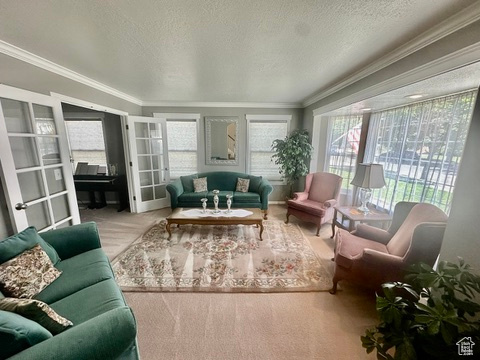 Living room with crown molding, plenty of natural light, a textured ceiling, french doors, and carpet