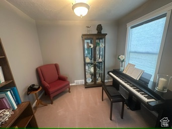 Sitting room featuring carpet flooring