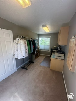 Spacious closet featuring light colored carpet