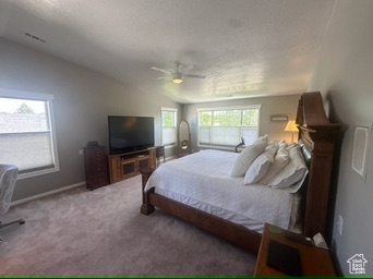 Carpeted bedroom featuring vaulted ceiling and ceiling fan