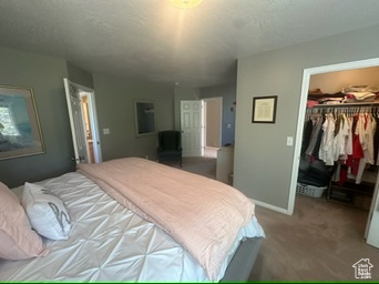 Carpeted bedroom featuring a spacious closet, a closet, and baseboards