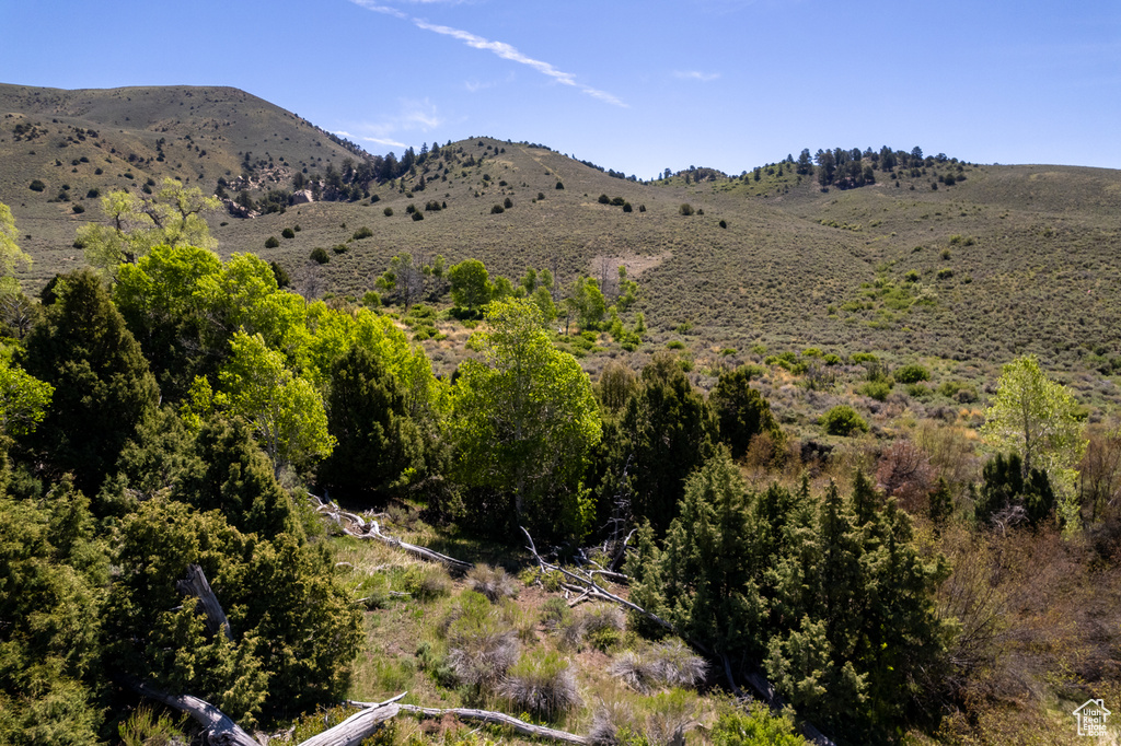 View of mountain backdrop