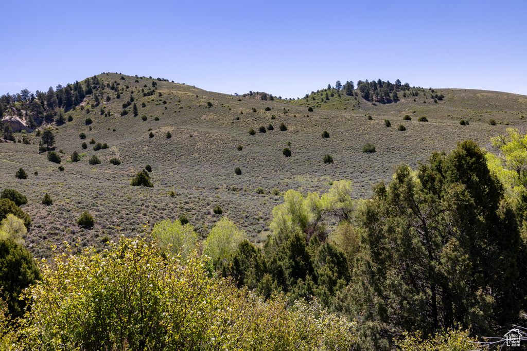 View of mountain backdrop