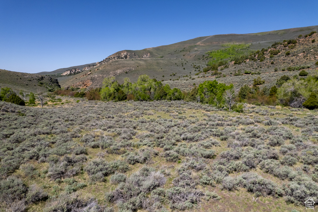 View of mountain background