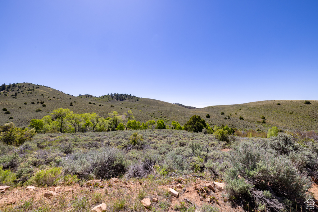 View of mountain backdrop