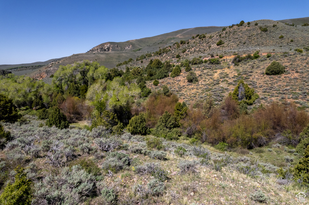 View of mountain background
