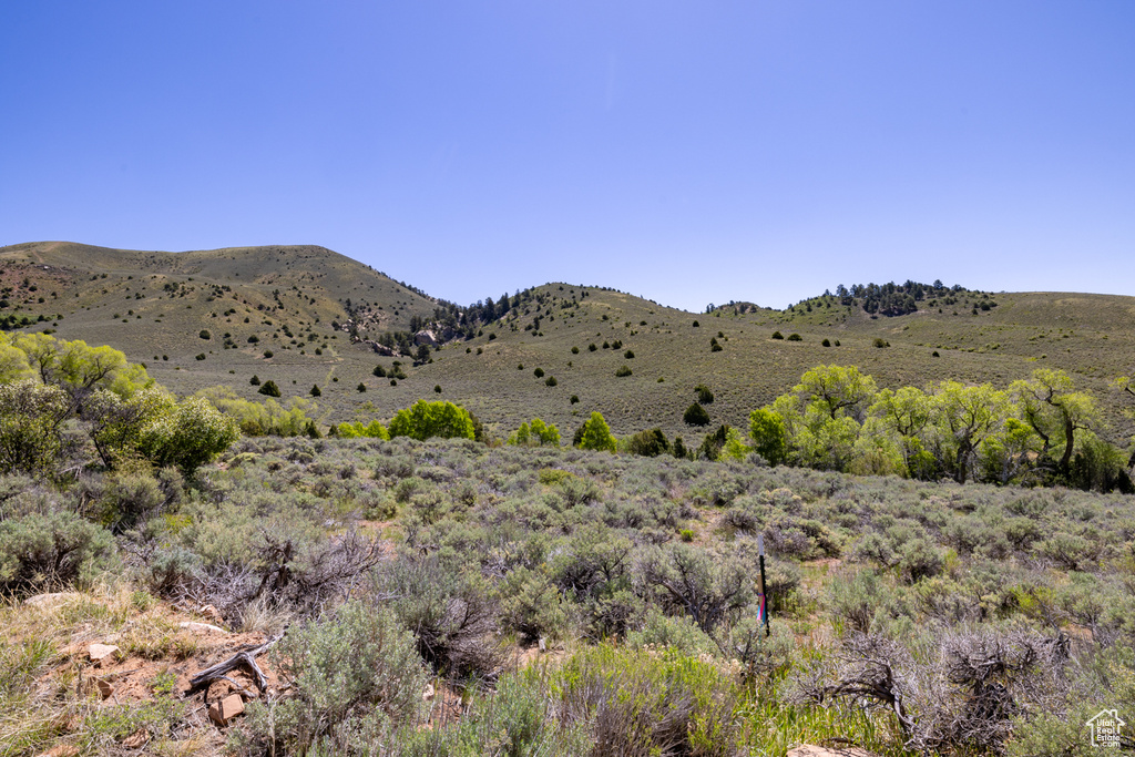 View of mountain background