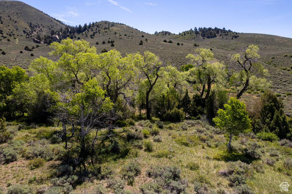 View of mountain background