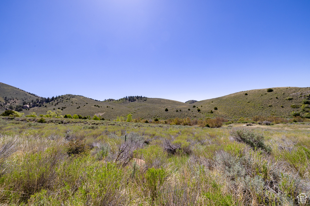 View of mountain backdrop