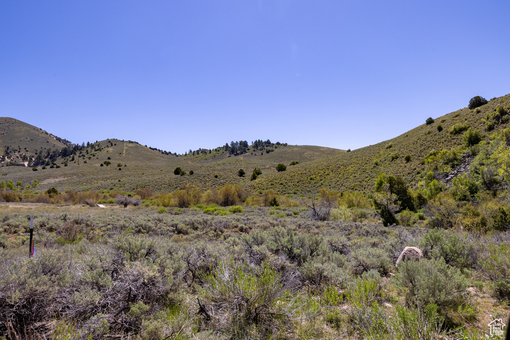 View of mountain background