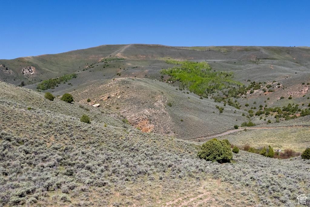 View of mountain background