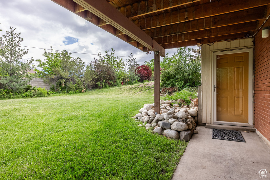 View of grassy yard
