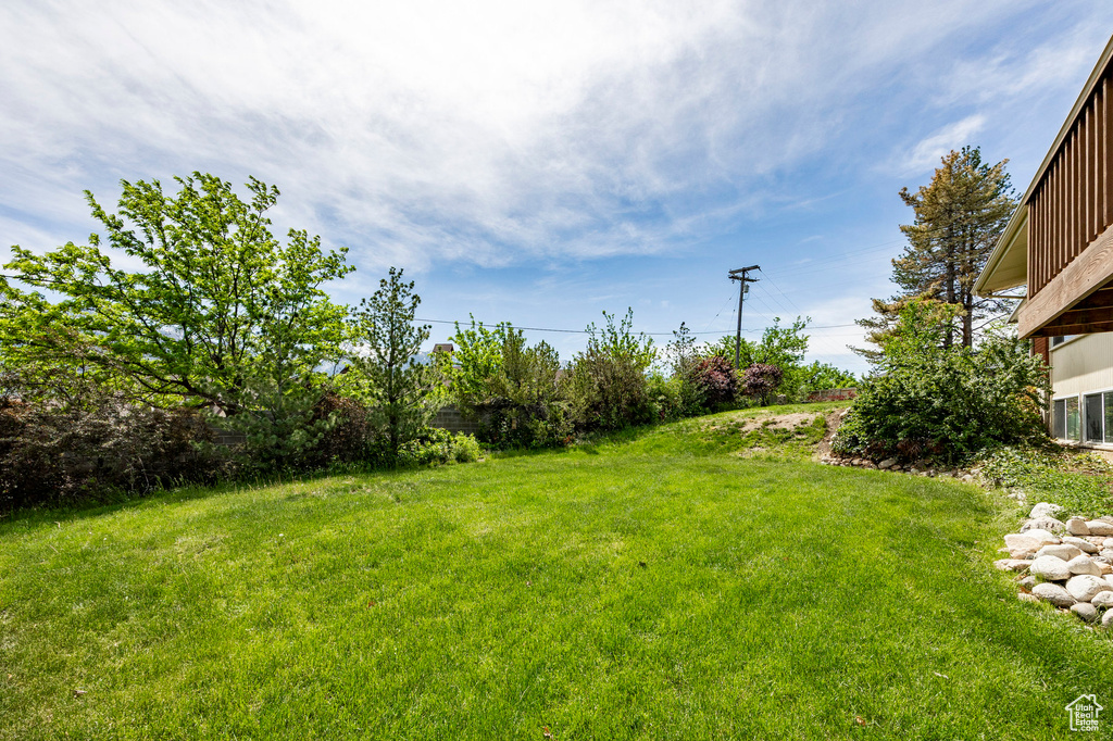 View of grassy yard
