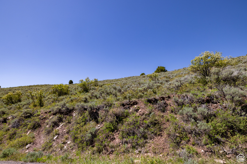 View of undeveloped land