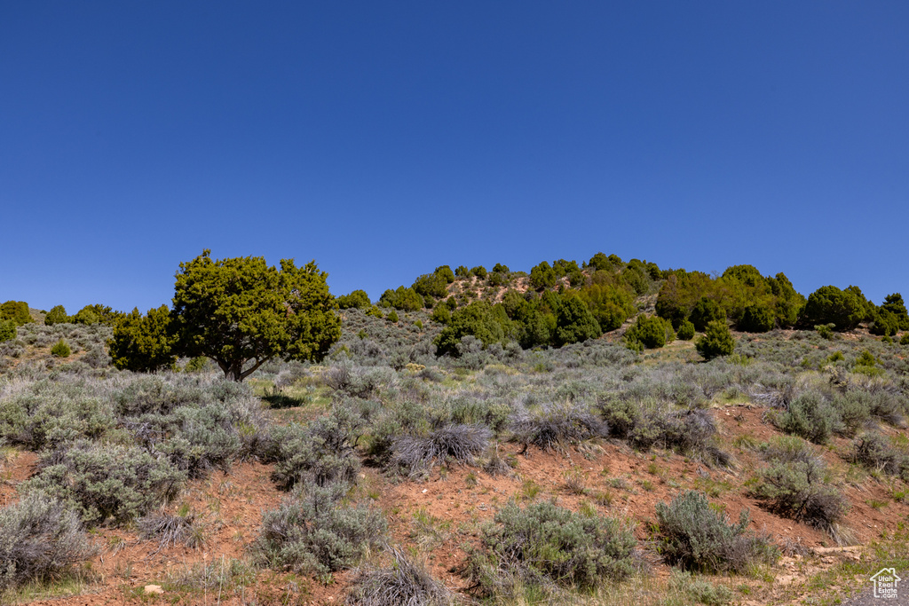 View of nature