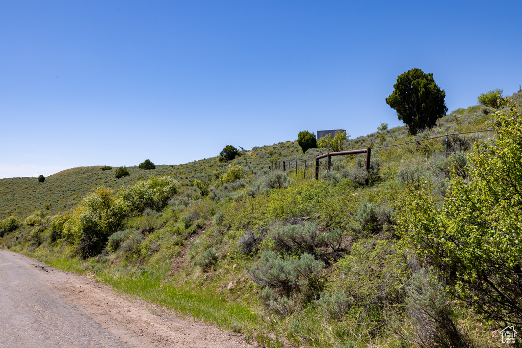 View of dirt / gravel road
