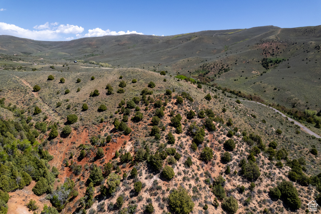 Mountain view with a desert landscape