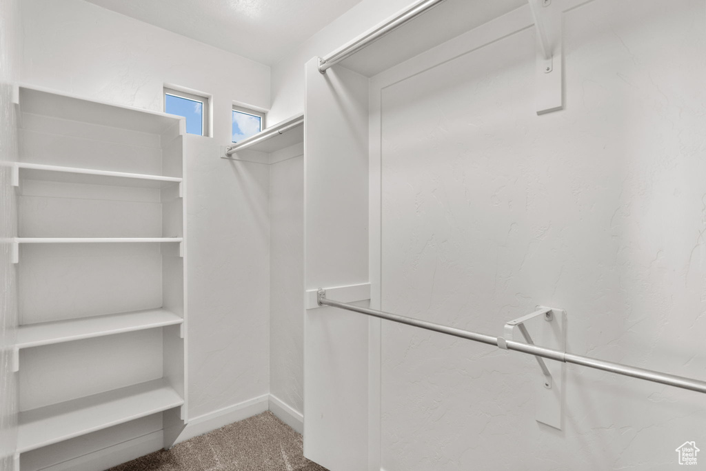Spacious closet with carpet floors