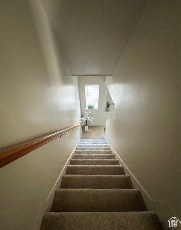 Staircase featuring carpet