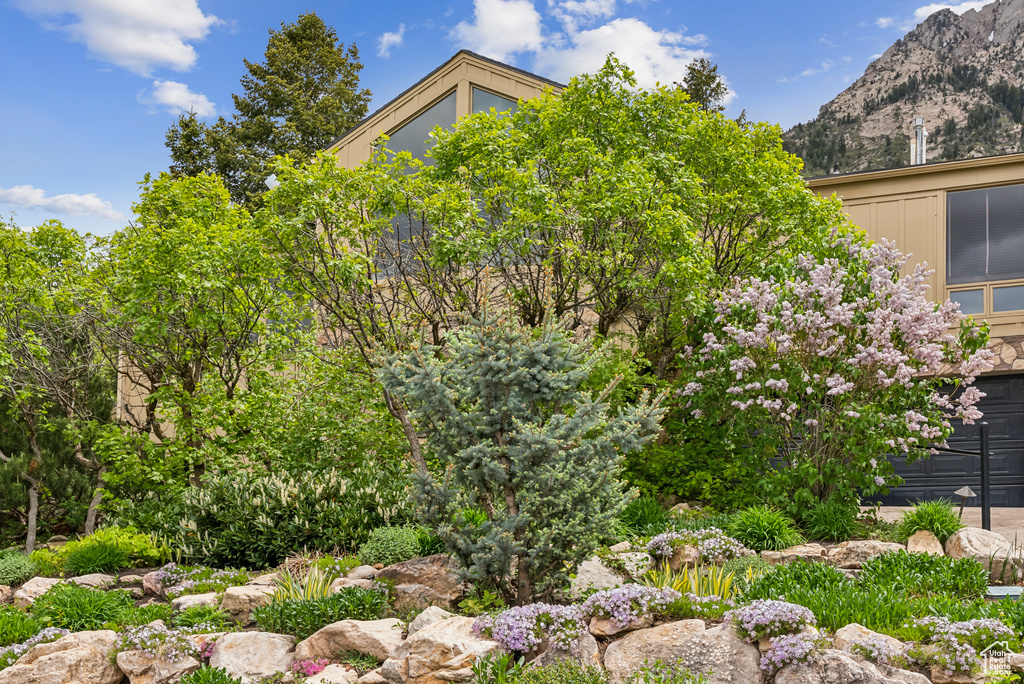 View of yard featuring a mountain view