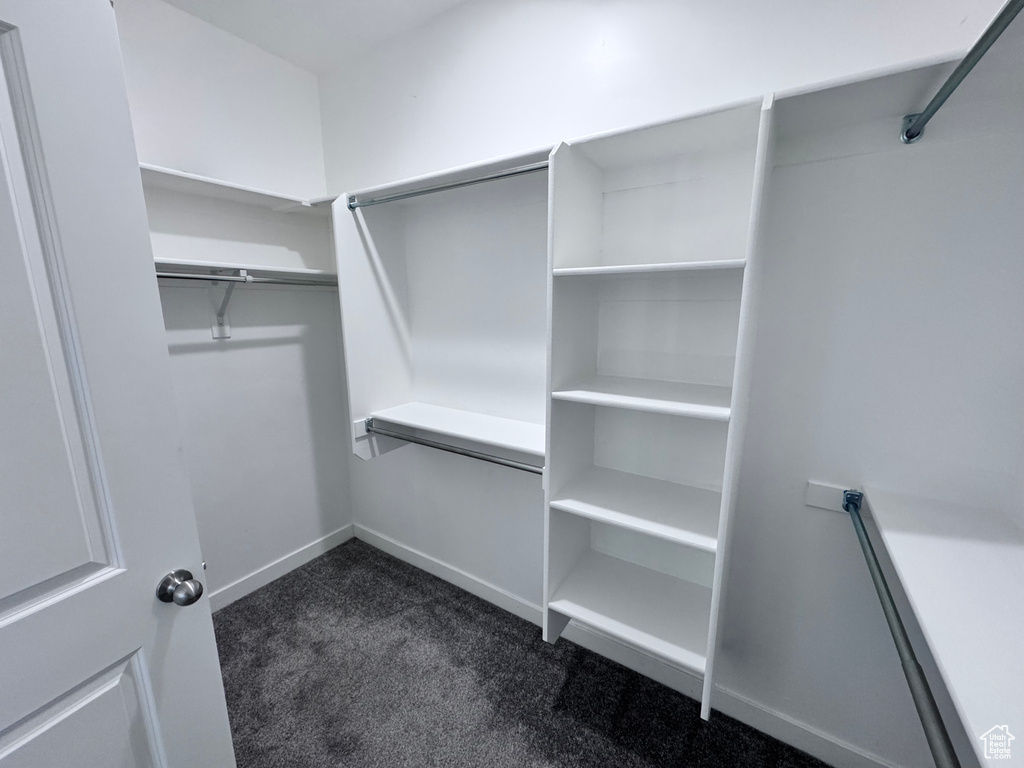 Spacious closet with dark colored carpet
