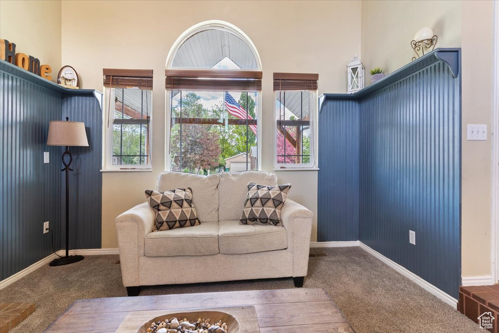 Living area featuring carpet floors, healthy amount of natural light, and baseboards