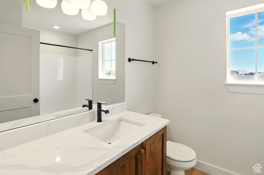 Full bathroom featuring vanity, toilet, and a shower
