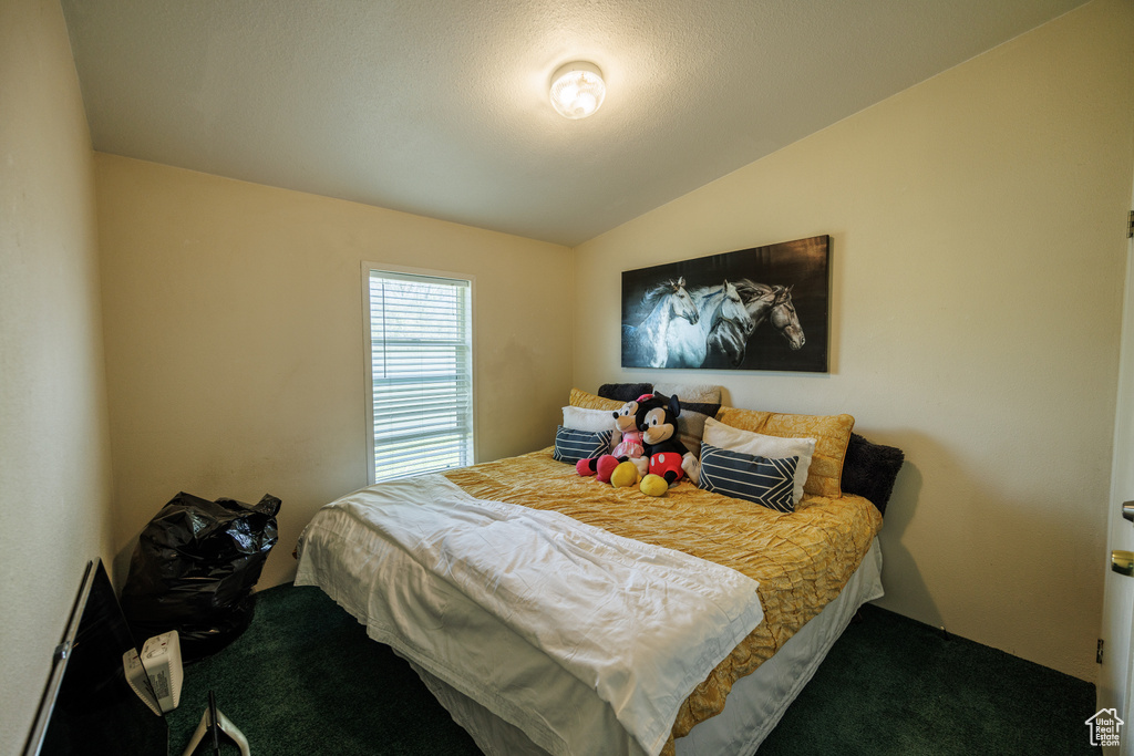 Carpeted bedroom with vaulted ceiling