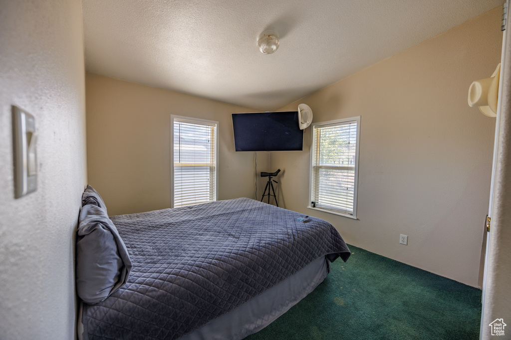Bedroom featuring carpet flooring