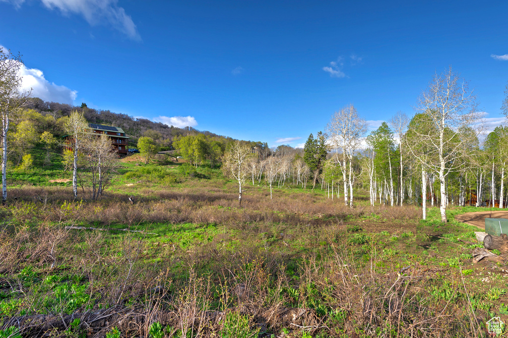 View of mountain backdrop