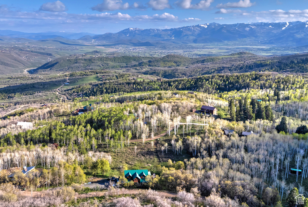 Bird\'s eye view of mountains and a forest