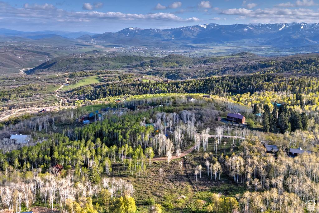 Aerial view of property\'s location featuring a mountainous background and a heavily wooded area