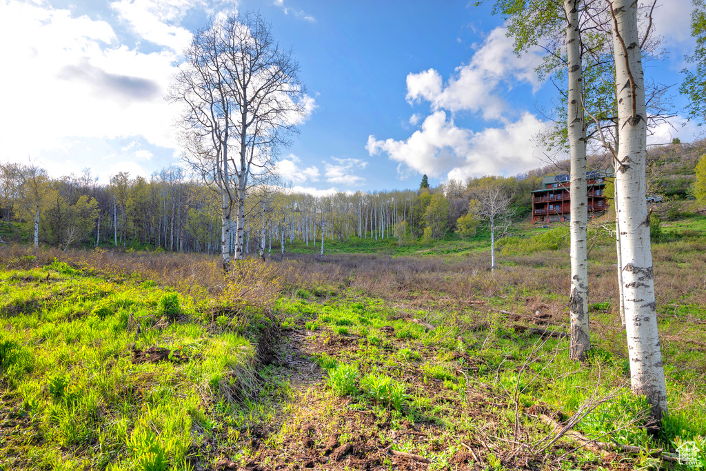 View of yard featuring a wooded view