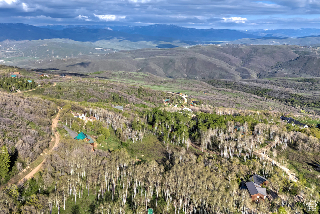 View of mountain background