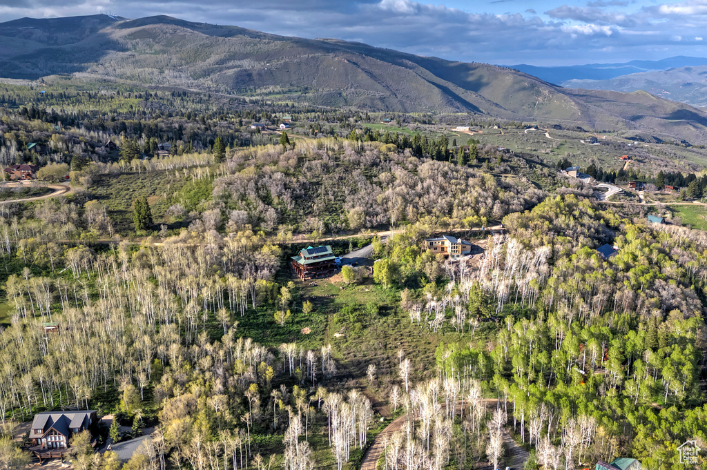 Mountain view featuring a forest