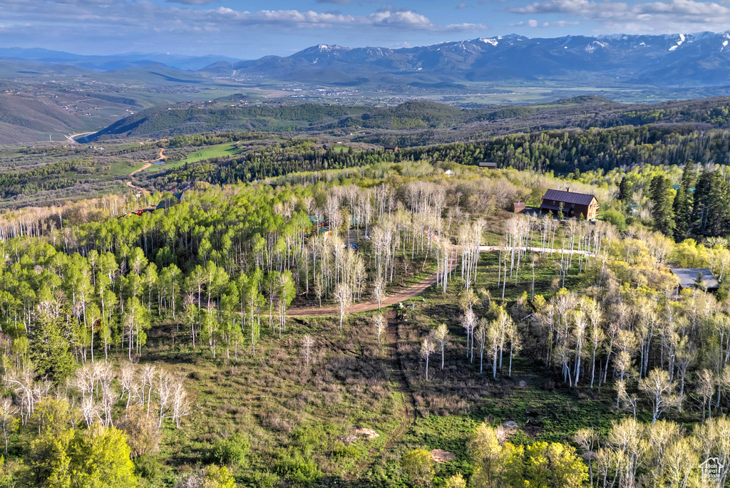 Drone / aerial view of a forest and mountains