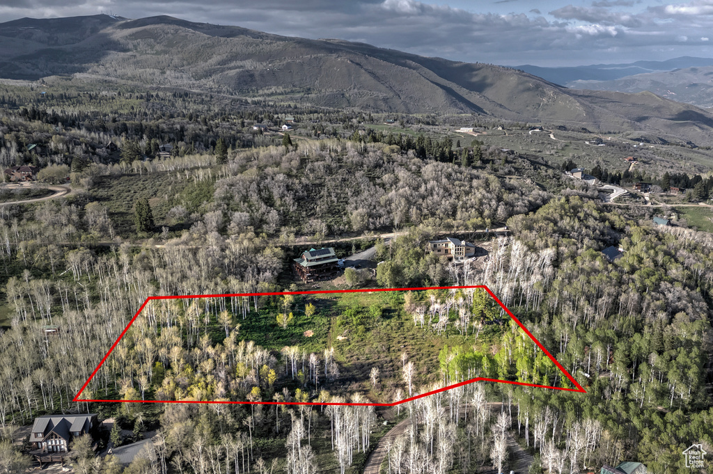 View of property location with mountains, a forest, and property boundaries highlighted