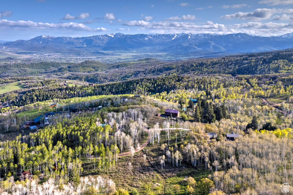 Drone / aerial view of mountains and a heavily wooded area
