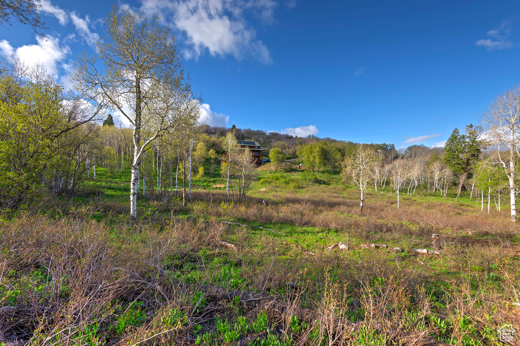 View of mountain background