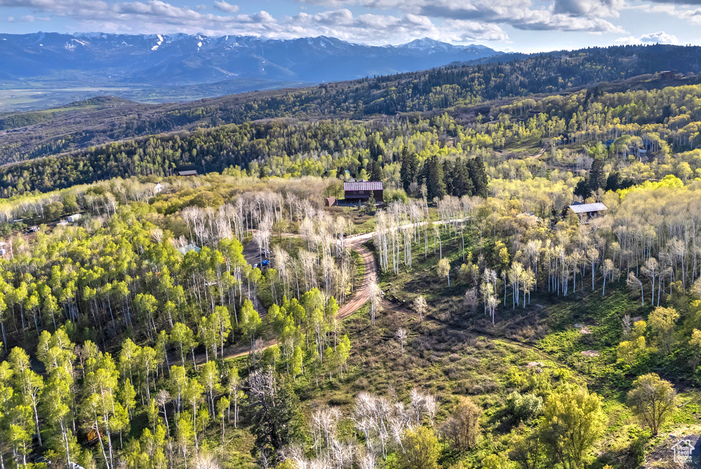 Drone / aerial view of a forest and mountains