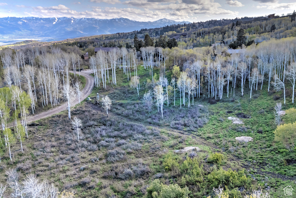 View of mountain backdrop featuring a forest