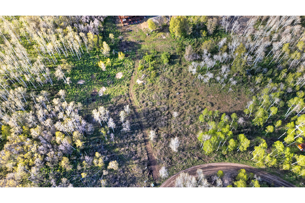 Bird\'s eye view