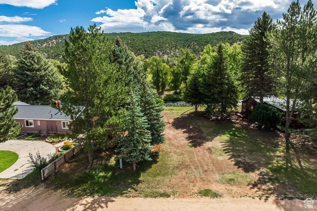 Mountain view with a heavily wooded area