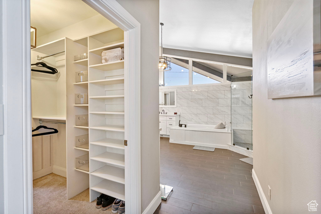Spacious closet with wood finished floors and a sink
